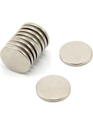 Die Grup Dünya Magnet 10 Adet 12 x 2 mm Yuvarlak Neodyum Mıknatıs Magnet