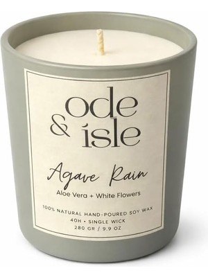Die Grup Kokulu Soya Mum – Aloe Vera & Beyaz Çiçek Kokusu, Doğal Soya Wax, Uzun Yanma Süresi, Dekoratif Cam Mum, Hediyelik Mum