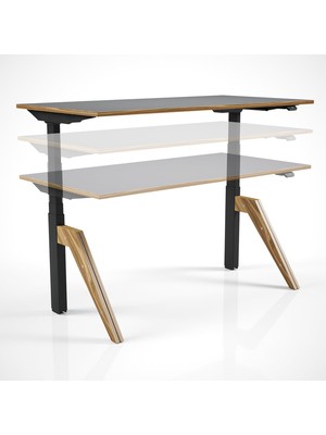 Die Grup Regula Desk Dandy - Elektrikli Yükseklik Ayarlı Çalışma Masası, Sıradışı Tasarım, Çift Motorlu, Bluetooth Kontrollü, 60-125CM Ayar Aralığı, Ödüllü Kontrol Paneli (Siyah Ayak - Meşe Tabla, 160X80)