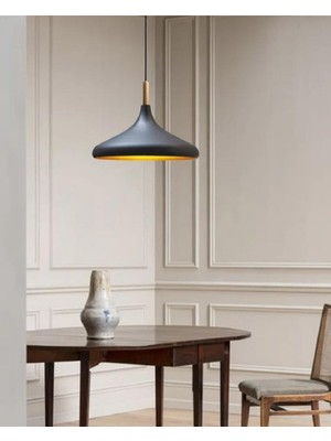 Die Grup Tek Fiyatıdır Metal Siyah Sarkıt Avize Modern Spor Avize 35CM Salon Mutfak Koridor Cafe Restorant Yatak Odası MYL003511