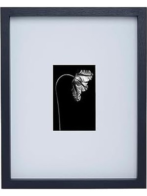 Die Grup Ahşap Galeri Duvar Çerçevesi, 11X14 Mat 10X6, 12X1.57X15 Inç, Siyah