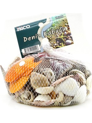 Bezos Midye ve Deniz Kabuklu Vazo Taşı Renkli Mix BZS10