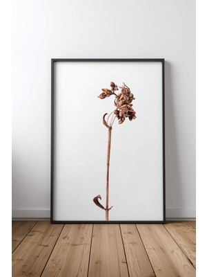 Keyf Home Dried Brown Plant Siyah Çerçeveli Mdf Tablo Poster Salon Duvar Dekoru Hediye