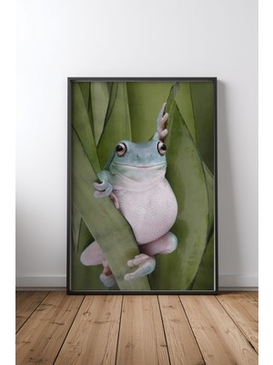 Keyf Home A Whites Tree Frogs Pose Siyah Çerçeveli Mdf Tablo Poster Salon Duvar Dekoru Hediye
