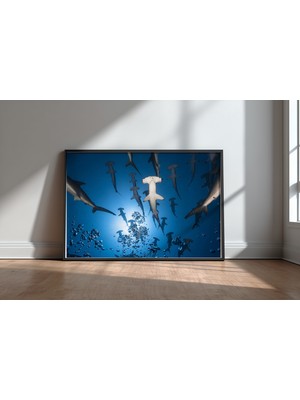 Keyf Home Hammerhead Shark Siyah Çerçeveli Mdf Tablo Poster Salon Duvar Dekoru Hediye