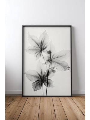 Keyf Home Transparent Botanic No 5 Siyah Çerçeveli Mdf Tablo Poster Salon Duvar Dekoru Hediye