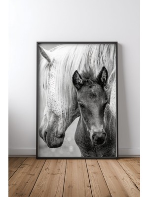Keyf Home The Foal Siyah Çerçeveli Mdf Tablo Poster Salon Duvar Dekoru Hediye