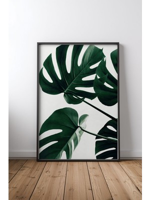 Keyf Home Monstera Natural 43 Siyah Çerçeveli Mdf Tablo Poster Salon Duvar Dekoru Hediye