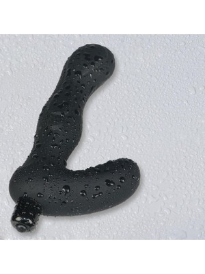 Royal Rain Store Truvashop Anal ve Vajinal Titreşimli Vibratör Anal Plug