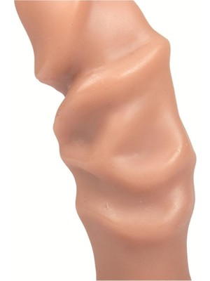 Royal Rain Store Truvashop 11.5 cm Realistik Silikon Anal Plug Vantuzlu G-Spot Anal Tıkaç