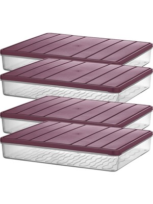 Odea Selka Home - Nora 4'lü 2.5 Litre Büyük Boy Mürdüm Saklama Kabı