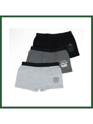 Bezos Erkek 2li Boxer Set K128997 (Tek Adet Fiyatıdır) · Beden: 3-4 Yaş · Renk: Asorti Bzst