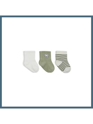 Bezos Koala Boy 3'lü Penye Soket Çorap 10133 Ekru · Beden: 0-3 Ay · Renk: Ekru Agc