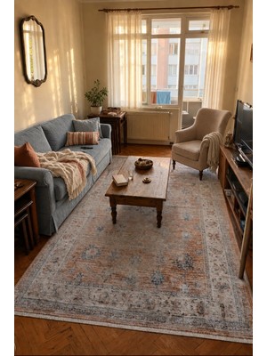 Naar Rustik RS004 Terra Mavi Vintage Eskitme Desenli Yumuşak Dokulu Salon Halısı
