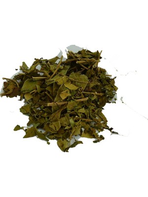 Colezium Cinnema Gurmar Otu Gymnema Sylvestr 100 gr Paket