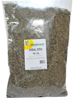 Colezium Doğal Oğul Otu 1000 gr Paket