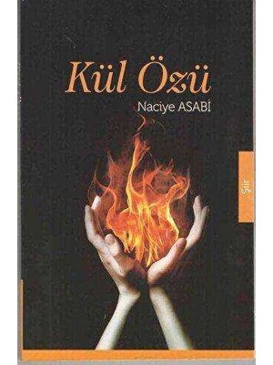 TeknoKapsül Kül Özü