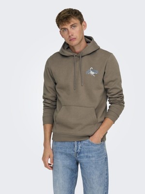 Only & Sons Onsbernıe Reg Hoodıe Sweat