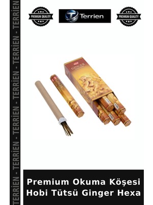 Terrien Premium Okuma Köşesi Hobi Tütsü Ginger Hexa