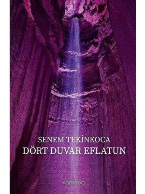 TeknoKapsül Dört Duvar Eflatun