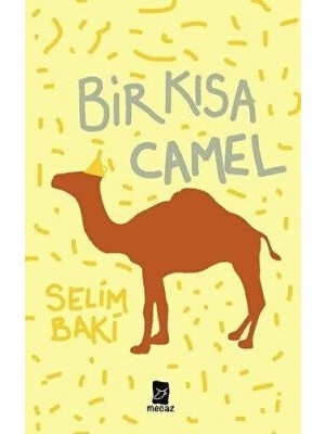 TeknoKapsül Bir Kısa Camel