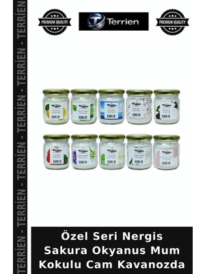 Terrien Özel Seri Nergis Sakura Okyanus Mum Kokulu Cam Kavanozda