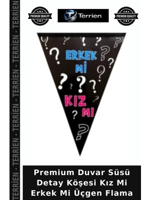 Terrien Premium Duvar Süsü Detay Köşesi Kız Mi Erkek Mi Üçgen Flama