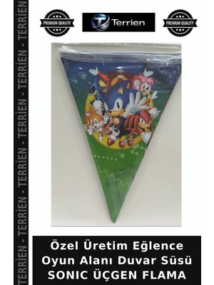 Terrien Özel Üretim Eğlence Oyun Alanı Duvar Süsü Sonıc Üçgen Flama