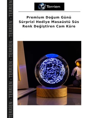 Terrien Premium Doğum Günü Sürprizi Hediye Masaüstü Süs Renk Değiştiren Cam Küre