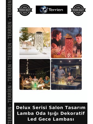 Terrien Delux Serisi Salon Tasarım Lamba Oda Işığı Dekoratif LED Gece Lambası
