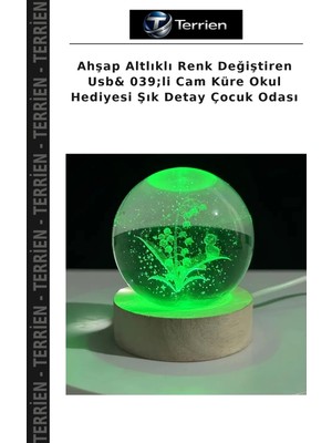Terrien Ahşap Altlıklı Renk Değiştiren Usb& 039;LI Cam Küre Okul Hediyesi Şık Detay Çocuk Odası
