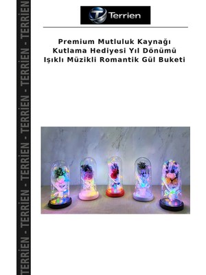 Terrien Premium Mutluluk Kaynağı Kutlama Hediyesi Yıl Dönümü Işıklı Müzikli Romantik Gül Buketi