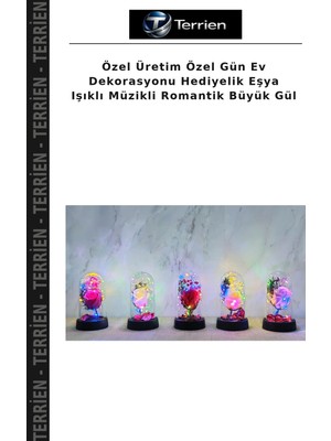 Terrien Özel Üretim Özel Gün Ev Dekorasyonu Hediyelik Eşya Işıklı Müzikli Romantik Büyük Gül