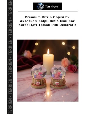Terrien Premium Vitrin Objesi Ev Aksesuarı Kalpli Biblo Mini Kar Küresi Çift Temalı Pilli Dekoratif