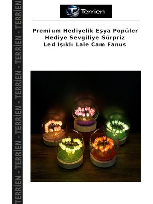 Terrien Premium Hediyelik Eşya Popüler Hediye Sevgiliye Sürpriz LED Işıklı Lale Cam Fanus