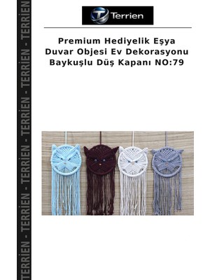 Terrien Premium Hediyelik Eşya Duvar Objesi Ev Dekorasyonu Baykuşlu Düş Kapanı No:79