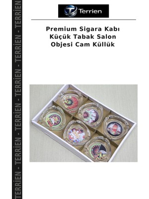 Terrien Premium Sigara Kabı Küçük Tabak Salon Objesi Cam Küllük