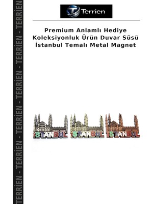 Terrien Premium Anlamlı Hediye Koleksiyonluk Ürün Duvar Süsü Istanbul Temalı Metal Magnet