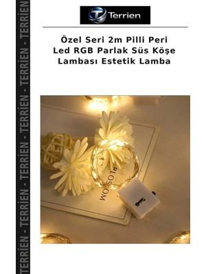 Terrien Özel Seri 2m Pilli Peri LED Rgb Parlak Süs Köşe Lambası Estetik Lamba
