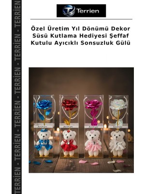Terrien Özel Üretim Yıl Dönümü Dekor Süsü Kutlama Hediyesi Şeffaf Kutulu Ayıcıklı Sonsuzluk Gülü
