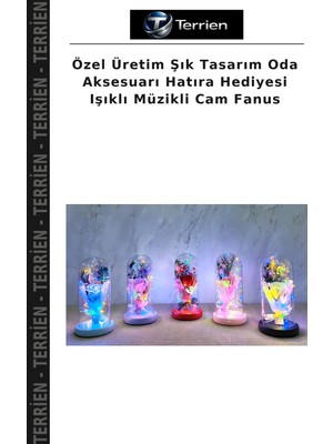 Terrien Özel Üretim Şık Tasarım Oda Aksesuarı Hatıra Hediyesi Işıklı Müzikli Cam Fanus