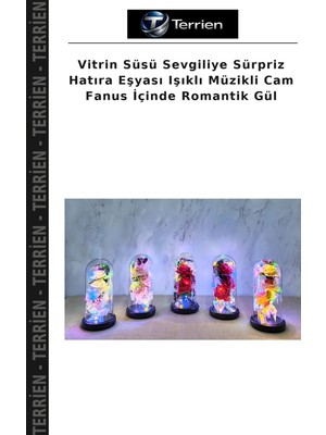 Terrien Vitrin Süsü Sevgiliye Sürpriz Hatıra Eşyası Işıklı Müzikli Cam Fanus Içinde Romantik Gül