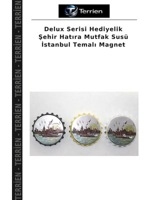 Terrien Delux Serisi Hediyelik Şehir Hatıra Mutfak Susü Istanbul Temalı Magnet