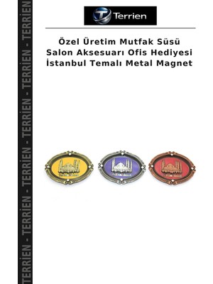 Terrien Özel Üretim Mutfak Süsü Salon Aksesuarı Ofis Hediyesi Istanbul Temalı Metal Magnet