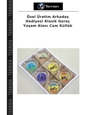 Terrien Özel Üretim Arkadaş Hediyesi Klasik Gereç Yaşam Alanı Cam Küllük