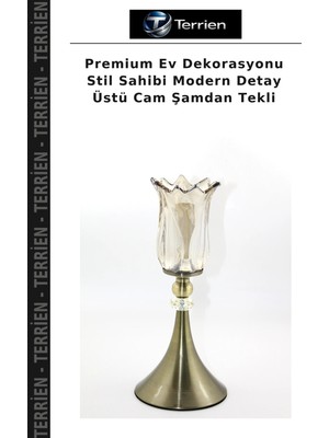 Terrien Premium Ev Dekorasyonu Stil Sahibi Modern Detay Üstü Cam Şamdan Tekli