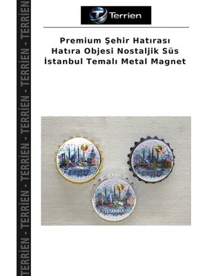 Terrien Premium Şehir Hatırası Hatıra Objesi Nostaljik Süs Istanbul Temalı Metal Magnet
