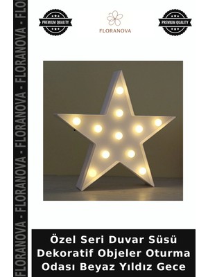 Floranova Özel Seri Duvar Süsü Dekoratif Objeler Oturma Odası Beyaz Yıldız Gece