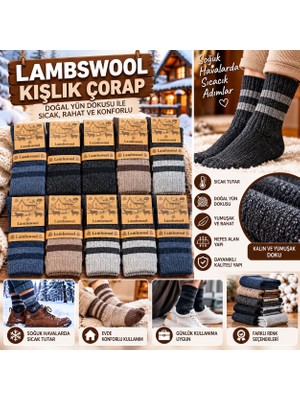 Qulat Lambswool Erkek Kışlık Kalın Örgü Çorap 40-44 Numara Sıcak Tutucu Çok Renkli 12'li Paket