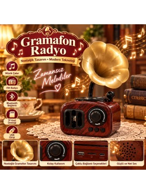 Ebuu Concept Nostaljik Gramofon Radyo